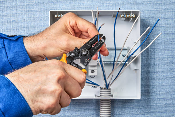 Best Surge Protection Installation  in Danvers, IL